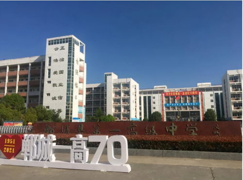 民辦中小學(xué)大規(guī)模停招, 民轉(zhuǎn)公 勢在必行,在職教師該何去何從